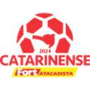 Catarinense - 1