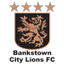 Bankstown City Lions