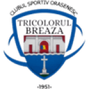 Tricolorul Breaza