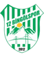 12 Bingölspor