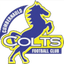 Cumbernauld Colts