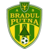Bradul Putna