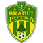 Bradul Putna