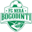 Nera Bogodinti