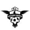 Halcones Negros
