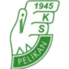 Pelikan (POL)