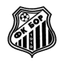 Bor 1919