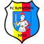 Rohoznik
