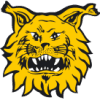 Ilves (FIN)