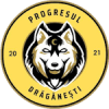 Progresul Draganesti