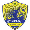 Etimesgut