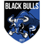 Black Bulls