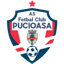 FC Pucioasa