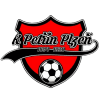 Petrin Plzen B