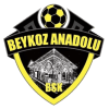 Beykoz Anadolu